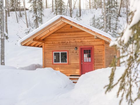 Birch Cabin
