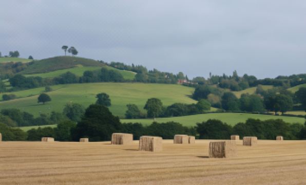 4. 소머빌 하우스..
