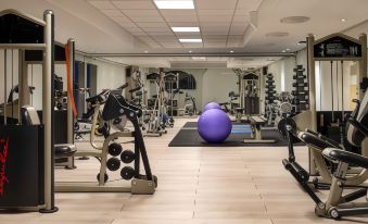 a well - equipped gym with a variety of exercise equipment , including weights , a treadmill , and an elliptical machine at Quality Hotel Grand Kongsberg