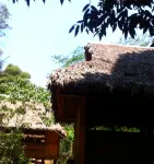 Ecolucerna旅館Tambopata