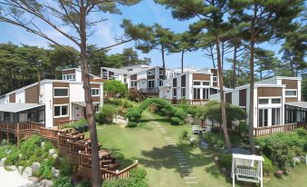 Taean Solmi Label Pension
