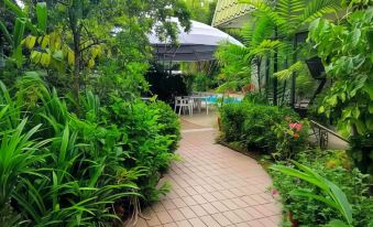 a lush green garden with various plants and trees , as well as a pathway leading to a dining area at Terrace Hotel