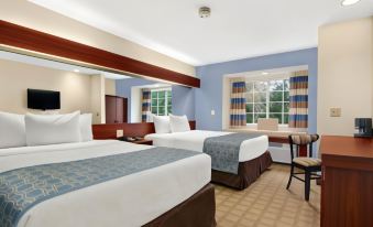 Microtel Inn & Suites by Wyndham Greenville / Woodruff Rd