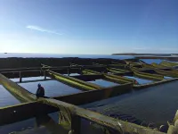 Cai Jyu B&B Hotels in Penghu