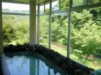 Aokiso Hotels in Tateshina