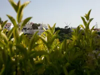Ericeira Chill Hill 2 – Peach Garden Hotels in Encarnacao