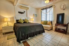 Coconut Palms Inn