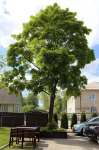Pechory-Park Hotel