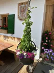 Hallerwirt Homes