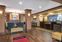 Hampton Inn & Suites by Hilton Florence Center - Wifi