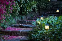 Linden Gardens Rainforest Retreat - Inns