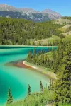 Location! Location! Location! Apt in the heart of Kenai! 1.5 miles to the Beach! Hotels in Kenai