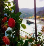 Albergo Suisse Bellevue Hôtels à : Monterosso al Mare