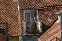 Main Square Apartments & More