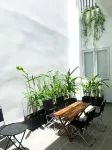 Chingu Homestay Vũng Tàu