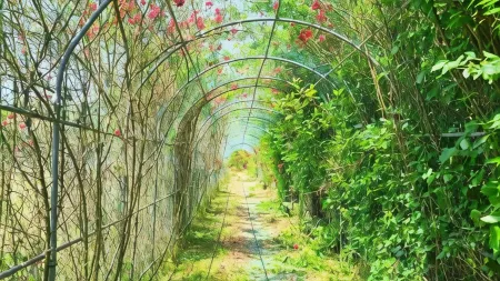 Damyang Mulgusimni Group Pension Отели рядом с достопримечательностью «Meta Provence»