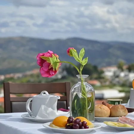 Placido Hotel Douro - Tabuaco