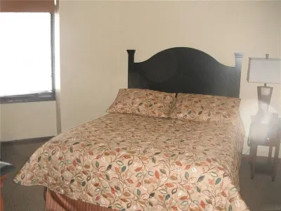 1BR 1BA Full Kitchen Ski In/Out Golf Tamarac Club Holiday Valley Condo Sleeps 4