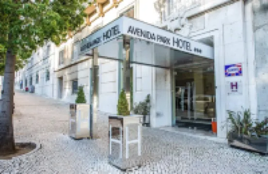 Hotel Avenida Park