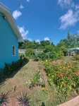 Blue Lizard House - 4 estrellas