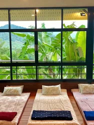 รูปภาพของBaanhatsompaen homestay