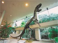 Minshuku Inn Shirahama Ekinoyado