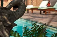 Woodpecker Inn - Pools