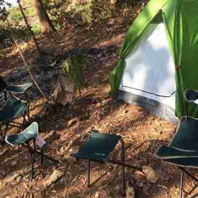 Cibo Escape Eco Resort Others