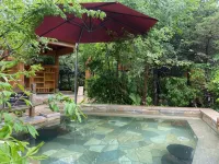 Sheraton Changbaishan Resort - Hot Springs