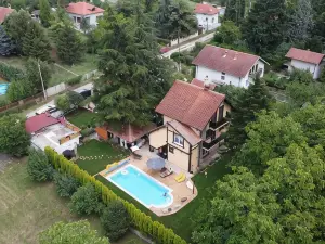 Vila Aleksić
