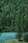 Xi Shan You Yu · HiCorer · Mountain Wilderness Retreat (Kanas Scenic Area Branch) - Mountain view