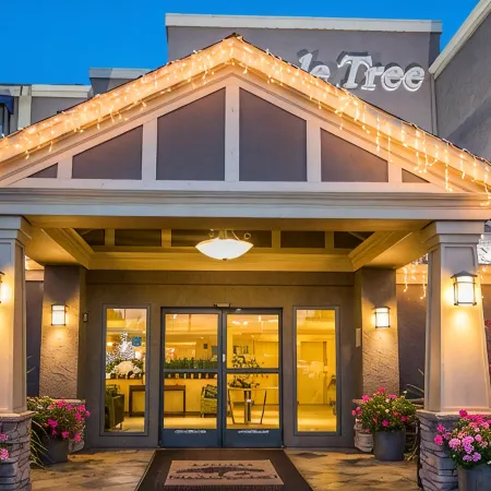 Maple Tree Inn