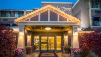 Maple Tree Inn Hoteles en 