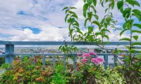 Floral Hotel ·Dali  Meiting Private Hotel(Dali University store) - balkon