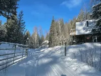 La Luna Tiny Cabin