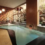 Zaimoku Sakaeya Ryokan - bars