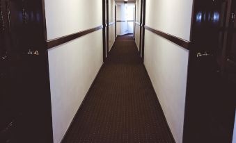 Hotel Sagarnaga