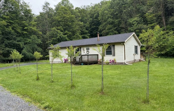 Welcome to The Creek Side House – A Tranquil Retreat in the Catskills