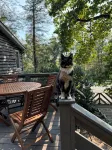 Relaxing 3 Br Mountain Cabin - balcony