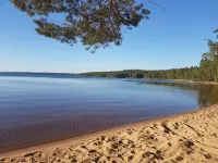 Romantic Lakeview Guesthouse in Swedish Nature -  Habitaciones en casas particulares