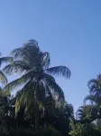 Quality ground floor apartment, platinum west coast, Holetown, Barbados - 2-Star