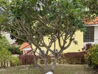Fast WiFi, 4 bedrooms, sleeps 8, panoramic ocean views, West Coast .. Paradise ! Hotels in Prospect