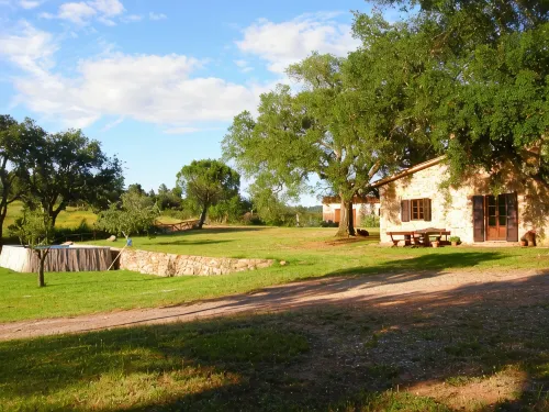 Farmhouse apartment between Siena and the sea relax pool WiFi 2 bedrooms 4-5p - WiFi