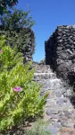 Finca El Lance the green oasis in the north of Tenerife