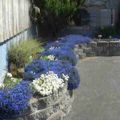 "TIDAL RAVES" Oceanview WiFi, Enclosed, View Patio, Secure Parking. City Center Hotel Exterior