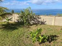 Elaine's Ocean View Dwelling Hotels in 