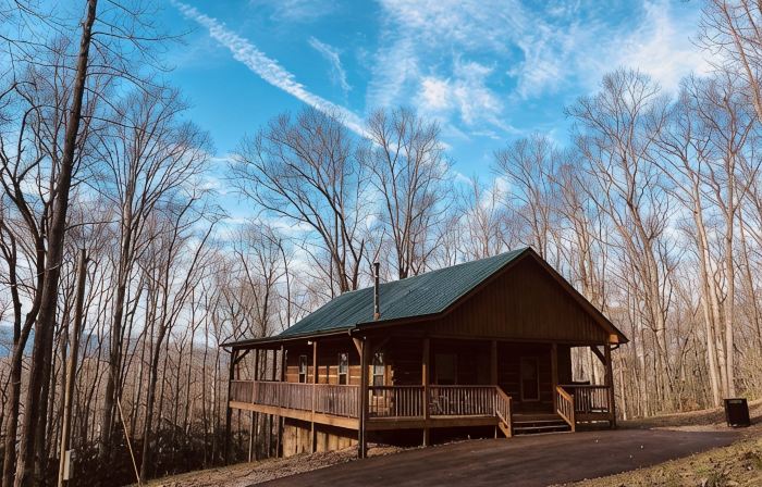 Homey Cozy Dog Friendly Cabin Surrounded by Beautiful Mountain Trees w/Hot Tub+