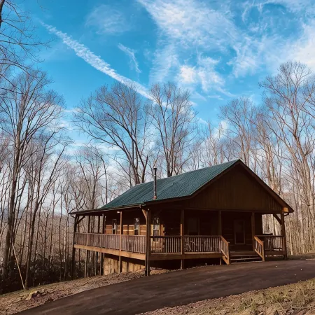 Homey Cozy Dog Friendly Cabin Surrounded by Beautiful Mountain Trees w/Hot Tub+