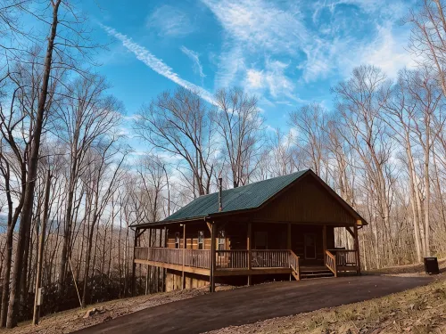 Homey Cozy Dog Friendly Cabin Surrounded by Beautiful Mountain Trees w/Hot Tub+ - Chalets