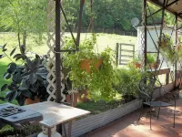 Paradise in the Little Buffalo River Valley less than a mile from Jasper. - Homestays